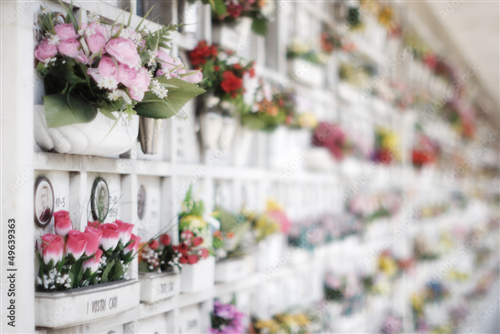 AVVISO PUBBLICO PER LA PRENOTAZIONE ALL'ASSEGNAZIONE IN CONCESSIONE DI LOCULI da ricostruire nel Cimitero di Vignanello â€“comparto 4 (struttura 189) e comparto MD (struttura 12)
