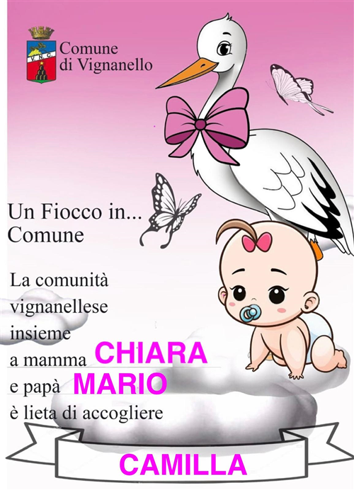 Un fiocco in Comune!!